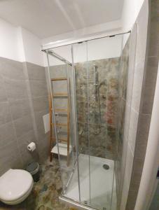 a shower in a bathroom with a toilet at Apartament Aga in Ustrzyki Dolne