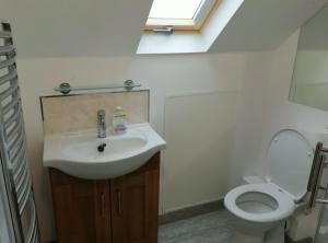 a bathroom with a sink and a toilet at Sawel view Apartments in Dungiven