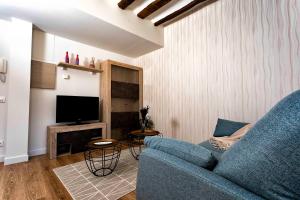 ein Wohnzimmer mit einem blauen Sofa und einem TV in der Unterkunft RIOJAVALLEY Apartamentos in Cenicero