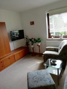 uma sala de estar com um sofá e uma televisão em Kleines Haus mit Geschichte em Neukirchen