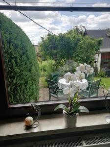 Fotografie z fotogalerie ubytování Kleines Haus mit Geschichte v destinaci Neukirchen