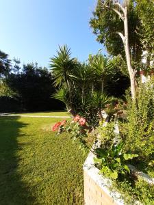 un jardin avec des fleurs roses et des plantes dans une cour dans l'établissement La Gran Dama, à Roseto degli Abruzzi