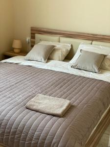 リヴィウにあるOpera House Apartmentの毛布とタオル付きのベッド