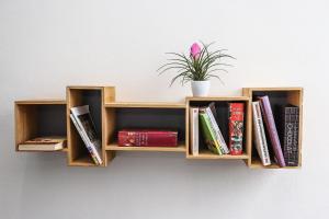 een plank met boeken en een potplant op een muur bij Hôtel La Réserve de Brive in Brive-la-Gaillarde