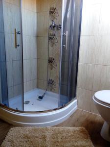 a shower with a glass door in a bathroom at Zámeček Zdíky - Zámecký apartmán in Bujanov