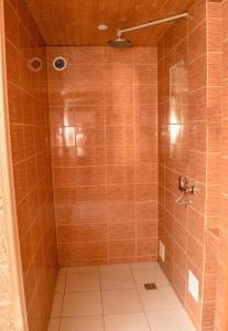 a bathroom with a shower with brown tile at Файна Хижа in Mizhhirʼʼya