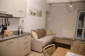 kuchnia i salon z kanapą w obiekcie appartamenti Il Borgo orchidea w mieście Busca