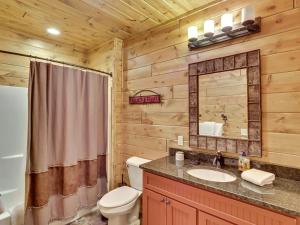 a bathroom with a toilet and a sink and a mirror at Wee-Kin-Da-Wa in Boyne Falls +24 photos