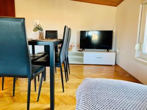 TV a/nebo společenská místnost v ubytování Apartment Meri