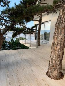Příroda nedaleko apartmánu