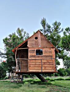 Gallery image of Gea tree house in Preveza