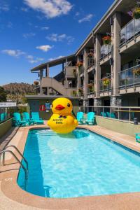 Piscina a Accent Inns Kamloops o a prop