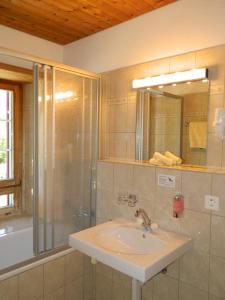 ein Bad mit einem Waschbecken, einer Dusche und einem Spiegel in der Unterkunft Hotel Preda Kulm in Bergün