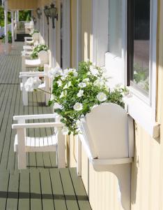 a row of white toilets on a building with flowers at Banbridge Inn in Charlottetown