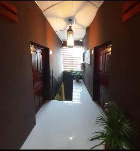 a hallway of a building with two doors and a plant at Hotel Caleta in San Miguel