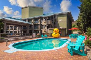 ein Pool mit einer aufblasbaren Gummiente neben einem Hotel in der Unterkunft Accent Inns Kelowna in Kelowna