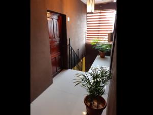 a hallway with two potted plants and a door at Hotel Caleta in San Miguel