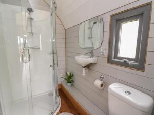 uma casa de banho com um chuveiro, um lavatório e um WC. em Woodland View em Saint Harmon