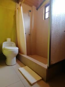 ein Bad mit einem WC und einer Dusche in der Unterkunft El Encanto del Taita Imbabura in Otavalo