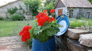 A garden outside Öregporta Vendégház