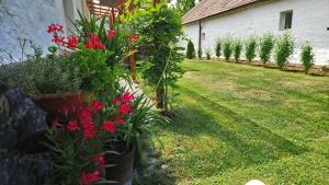 A garden outside Öregporta Vendégház