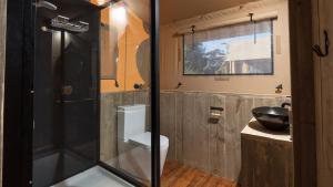 a bathroom with a toilet and a glass shower at NRMA Port Arthur Holiday Park in Port Arthur