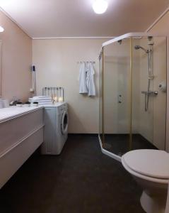 a bathroom with a shower and a washing machine at Private Apartment close to Sirdal Hotel in Tjørhom