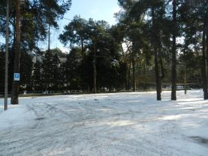 Obiekt Śródborowianka zimą