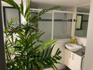 Gallery image of Ocean Courtyard - Beachside Unit in Alexandra Headland