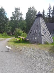 a dog is standing in front of a teepee at Mökki Cottages Ruka in Ruka