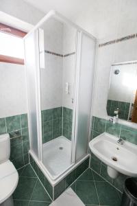 a bathroom with a shower and a toilet and a sink at Park Hotel Tartuf in Beladice