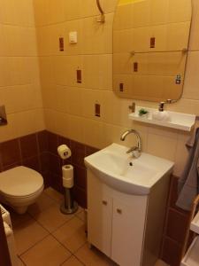 ソポトにあるpokoj z lazienka Sopotのバスルーム(洗面台、トイレ、鏡付)