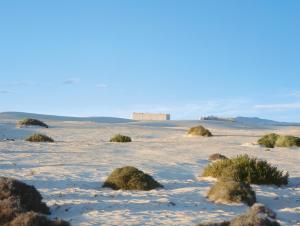a snowy field with some plants in it at Hotel Riu Oliva Beach Resort - All Inclusive in Corralejo