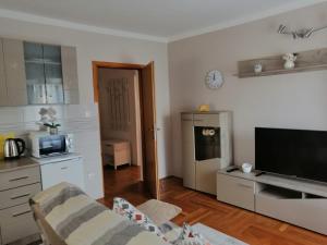 ein Wohnzimmer mit einem TV und einer Küche in der Unterkunft Apartments & Rooms 4 Rijeke in Karlovac