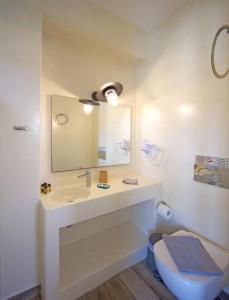 a bathroom with a sink and a toilet and a mirror at Diasino Apartments and Car Rental in Katapola