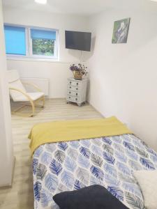 a bedroom with a bed and a tv in it at Apartamenty Parkowa in Koszalin