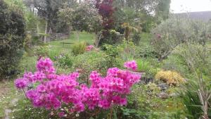 Tardets-SorholusHôtel Restaurant Du PONT D'ABENSE的相册照片