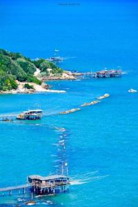 eine Gruppe von Booten in einem großen Gewässer in der Unterkunft La tenuta di panfilo in Paglieta