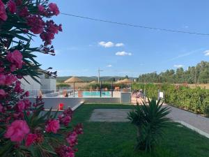 a view of the swimming pool and flowers at Hotel Letizia in Follonica