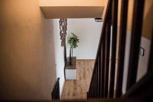 Fotografie z fotogalerie ubytování Apartmány na náměstí v Šumperku