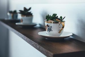 Fotografie z fotogalerie ubytování Apartmány na náměstí v Šumperku