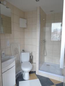 a bathroom with a toilet and a shower and a sink at Nowy Apartament Słoneczny in Augustów