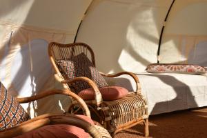 een kamer met 2 stoelen en een bed in een tent bij Vesterlyng Camping and Cottages in Føllenslev