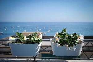 two potted plants sitting on a balcony overlooking the ocean at Residence Panoramic in Maiori