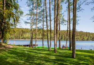 a park with trees and a body of water at Ažuluokesos sodyba in Molėtai