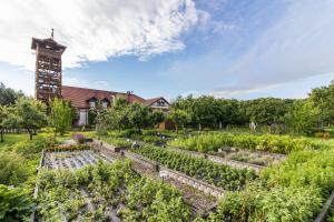 Zahrada ubytování Hotel Osada Karbówko Wellness & SPA