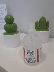 deux cactus et une bouteille d'eau avec un cactus dans l'établissement Attico Con Terrazza A Bari, à Bari