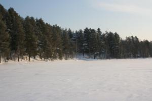a large snow covered field with trees in the background at Lohijärven Eräkeskus in Lohijärvi