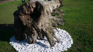 a statue of a tree in a pile of rocks at Funileiro, apartamentos e quartos in Amares