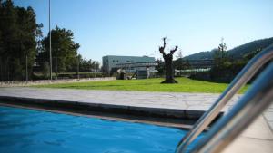 un reflejo de un árbol en un charco de agua en Funileiro, apartamentos e quartos en Amares